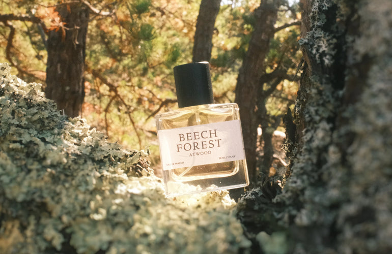 Atwood Beech Forest Eau De Parfum - Stéle