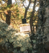 Atwood Beech Forest Eau De Parfum - Stéle