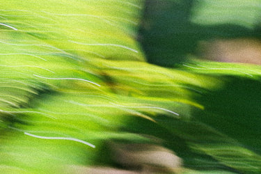 .Oddity Discovery Set - Stéle