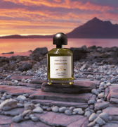 Scent Trunk Simmer Dim Eau de Parfum - Stéle