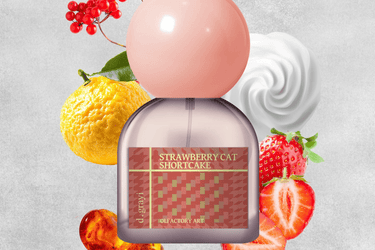 d.grayi Strawberry Cat Shortcake Eau de Parfum - Stéle